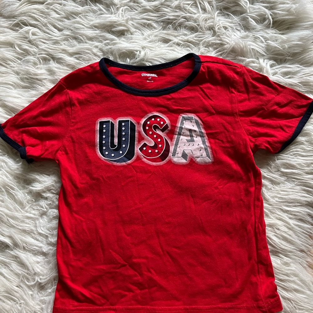 Gymboree Boys Patriotic July 4th Tee Shirt 4T